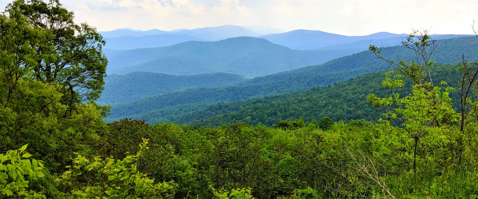 Tilo Mission & Values