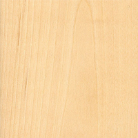 Tilo Paper White Birch