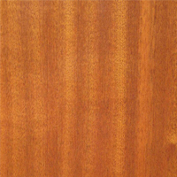 Tilo Sapele Mahogany